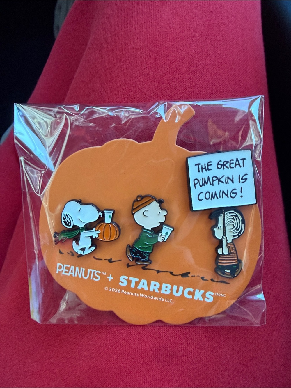 Starbucks Peanuts Pumpkin Pin Set - Orange, White, Black, Green